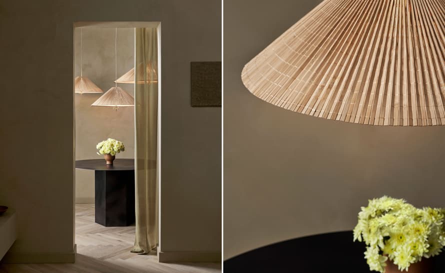 1972 Pendant Lamp