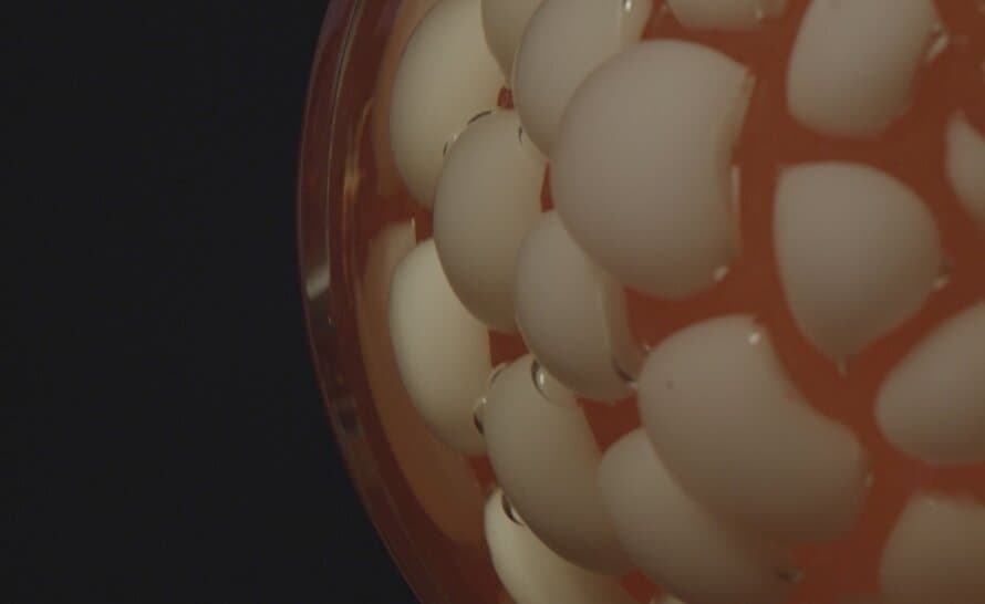 Bocci 118t Table Lamp