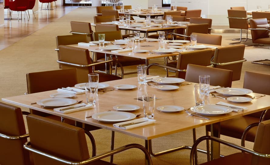 brno chair with tubular steel frame