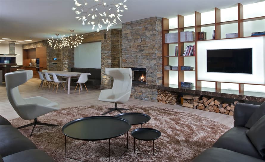heracleum suspension light