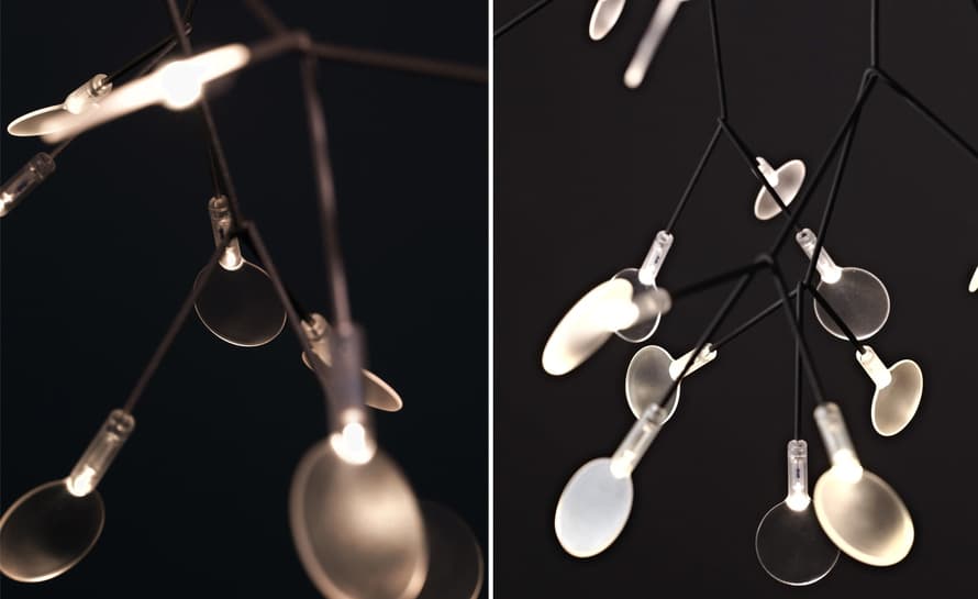 heracleum suspension light