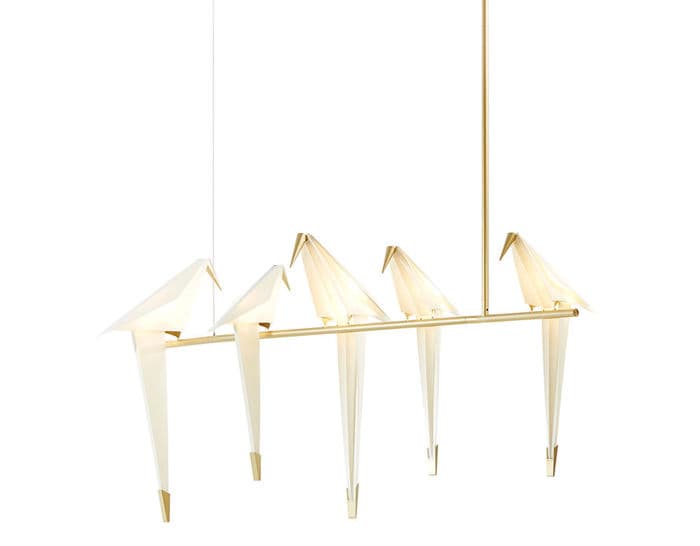 perch light branch