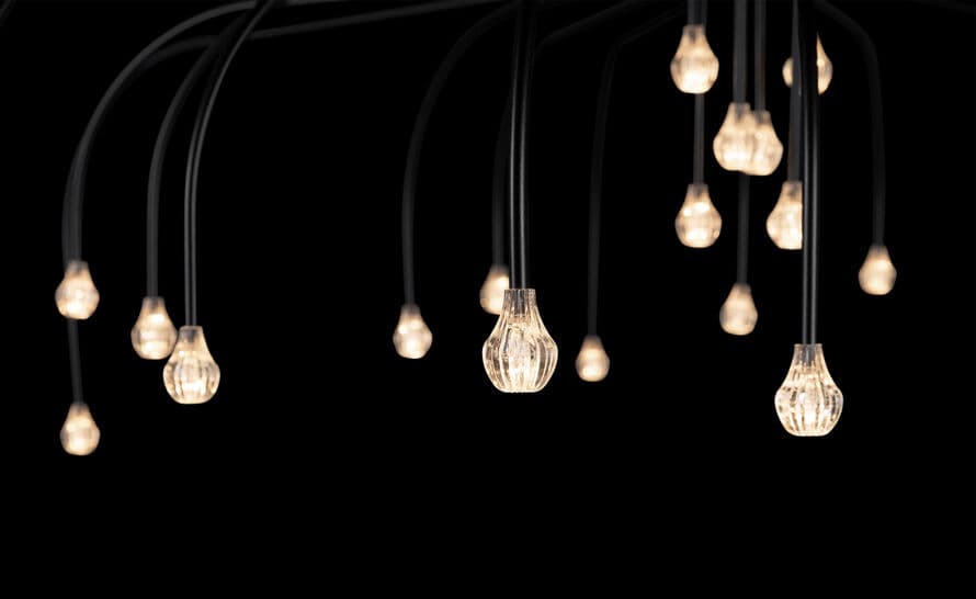 Starfall Light