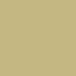transparent - olive green
