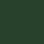 dark green (SD2100-1556C)