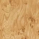 low / 19" height - white oak burl