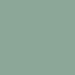 green enamel (002 2V)
