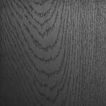 large - blackened ash