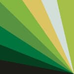 13 drawer - green palette