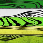 standard - white with green
