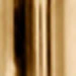 standard - brass ring / brass shade
