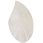 quill rug